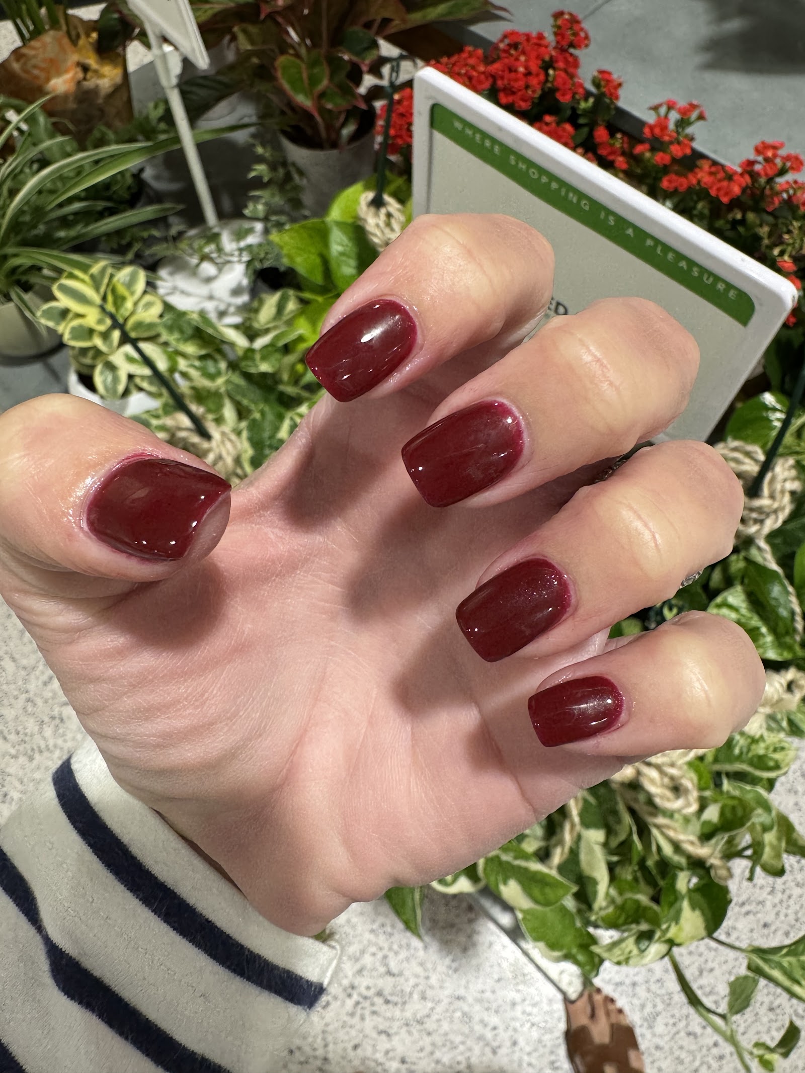 Cosmo nails spa